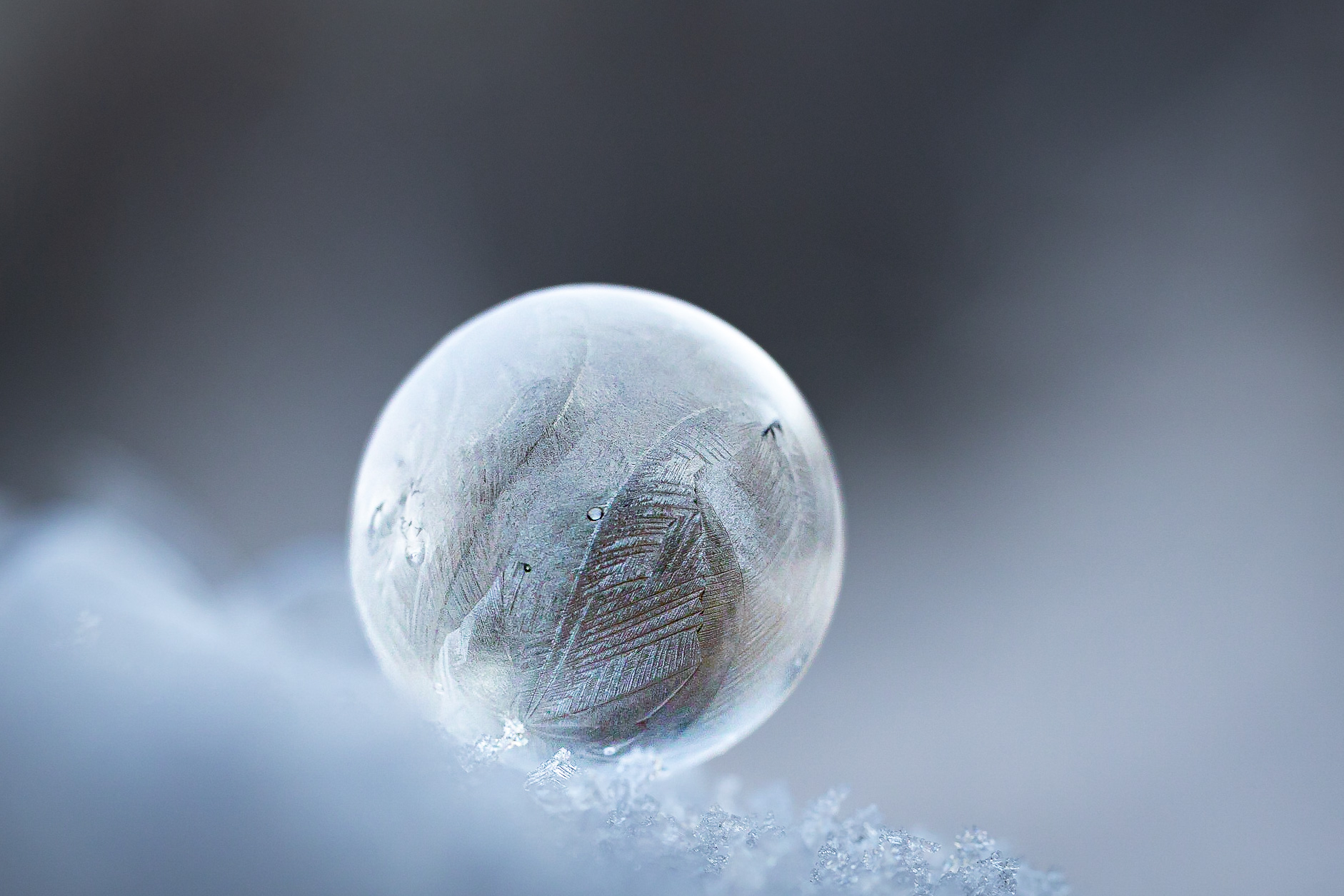 Frozen Bubbles